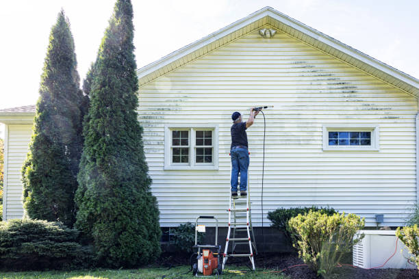 Best Rust Removal  in Bentleyville, PA